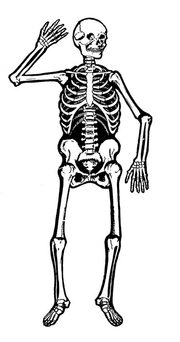 clipart skeleton black and white