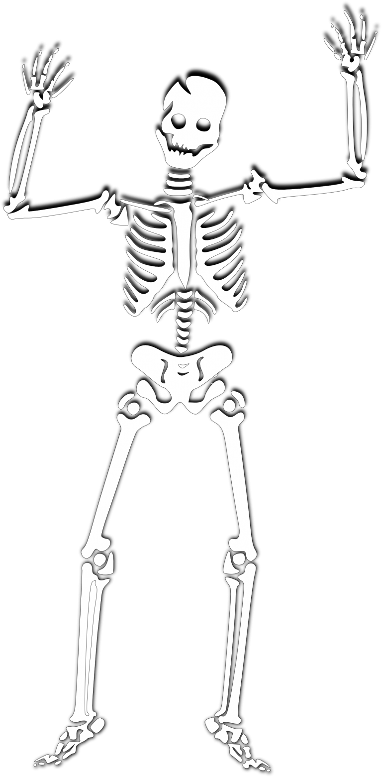 Clipart skeleton bone density. Download halloween png photos