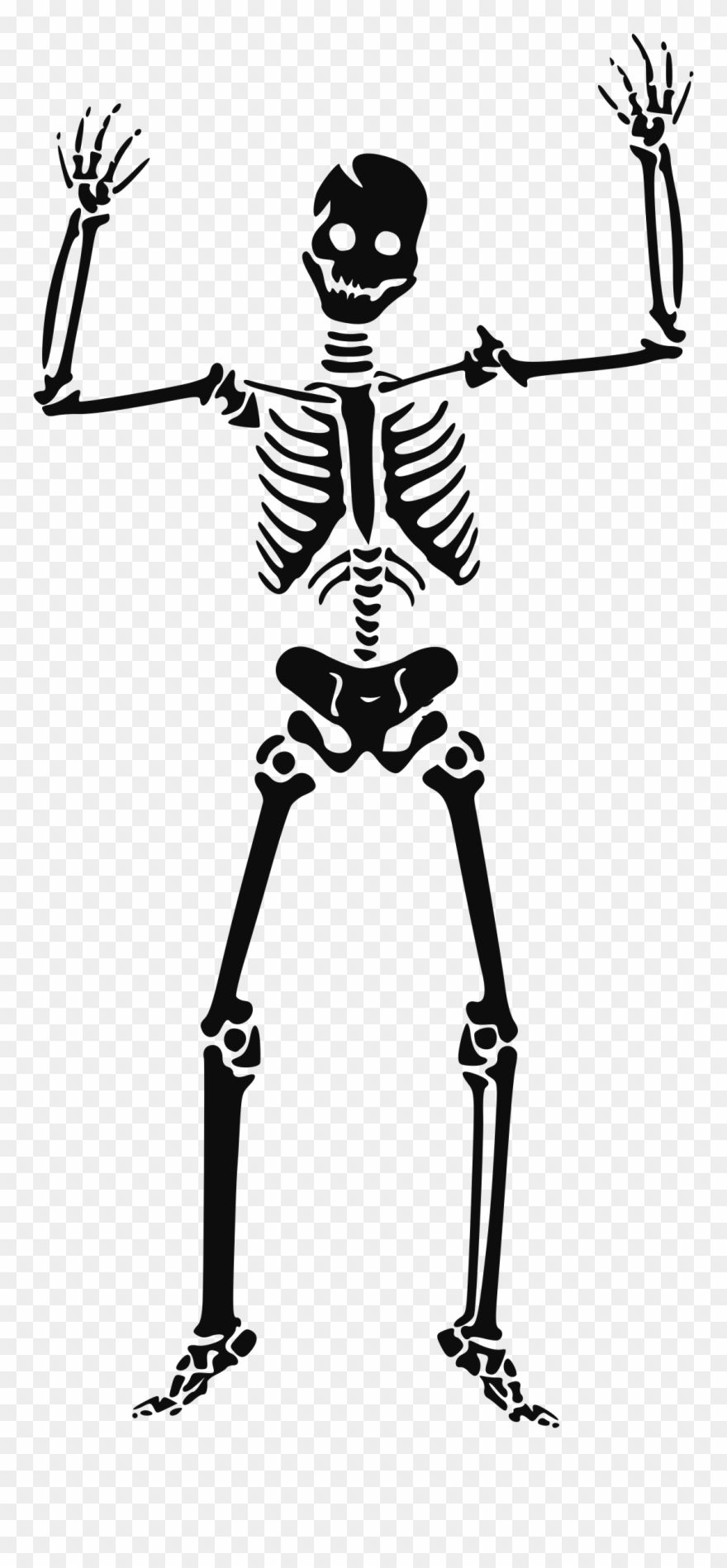 Transparent halloween . Clipart skeleton border