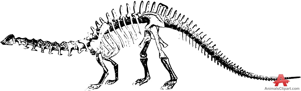 skeleton clipart brontosaurus