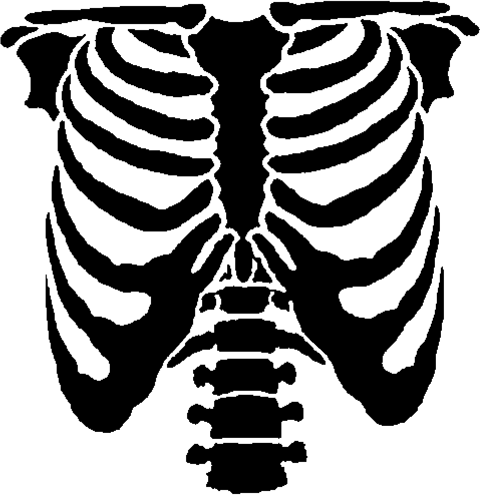 Clipart Skeleton Chest Clipart Skeleton Chest Transparent Free For Download On Webstockreview 2020 - chest bone roblox