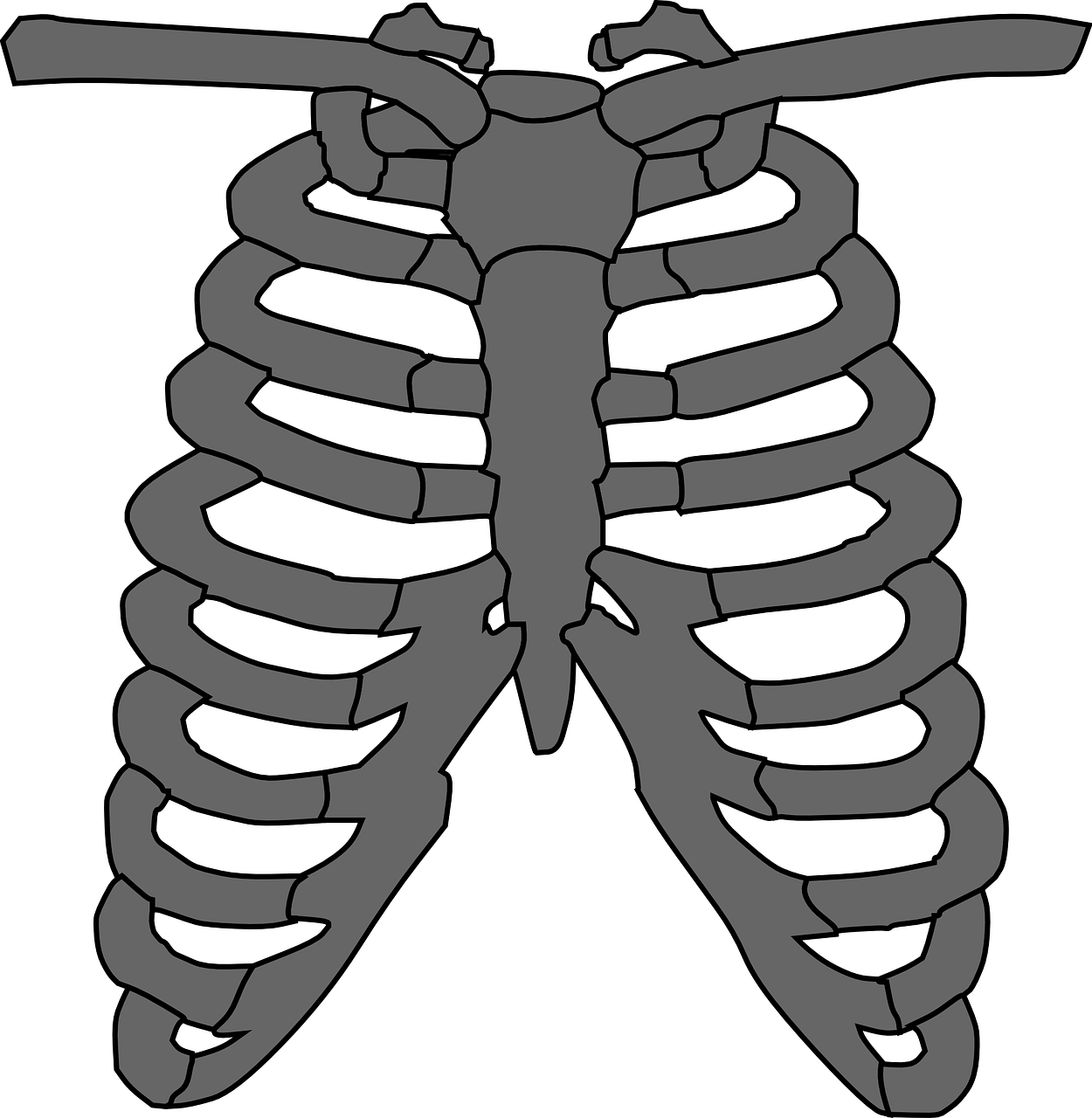 clipart skeleton chest
