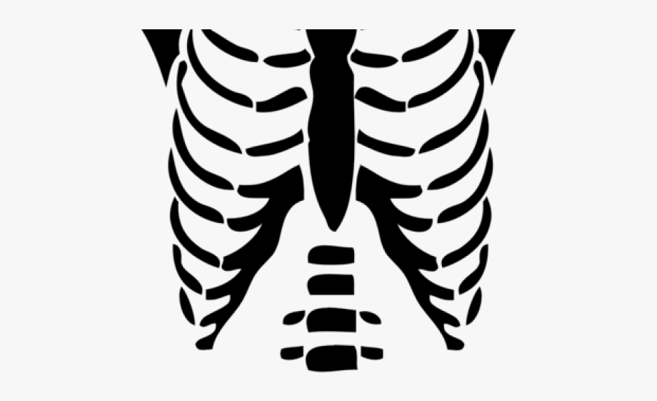 Clipart skeleton chest, Clipart skeleton chest Transparent FREE for