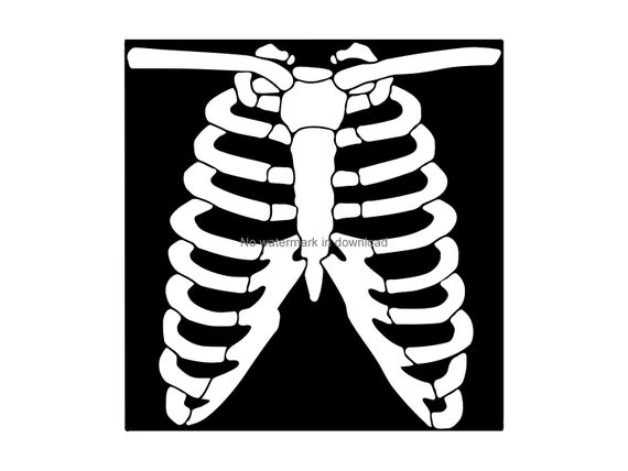 skeleton clipart chest