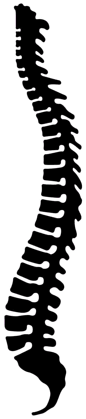 massage clipart chiropractic spine