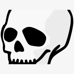 clipart skeleton cranium