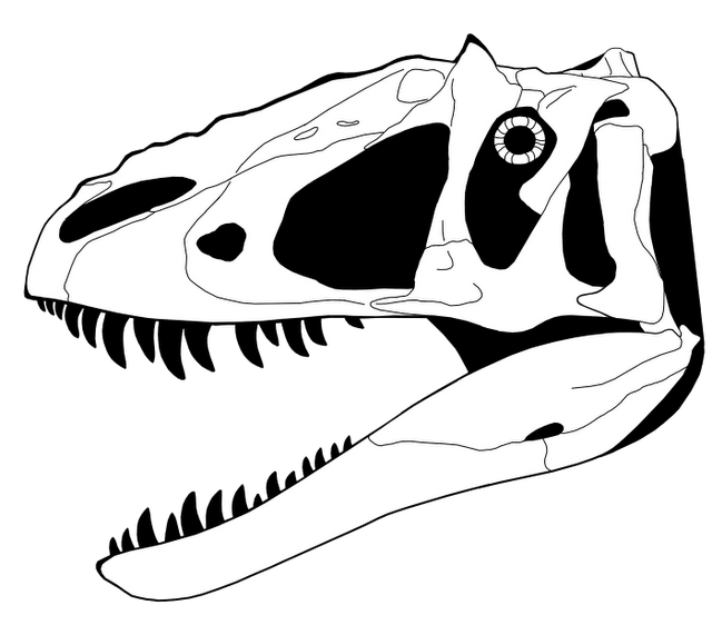 Clipart skeleton easy. Velociraptor drawn free on