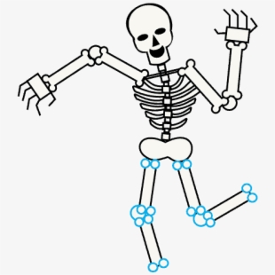 Bones body drawing free. Clipart skeleton easy