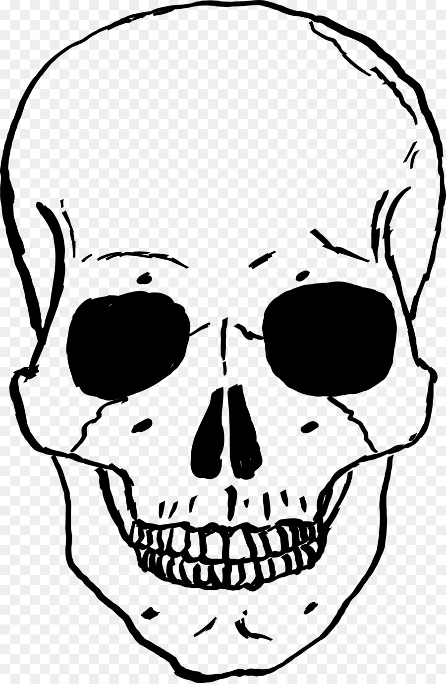 Human skull drawing . Clipart skeleton face