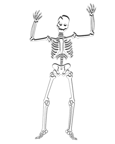 Skeleton clipart school, Skeleton school Transparent FREE for download