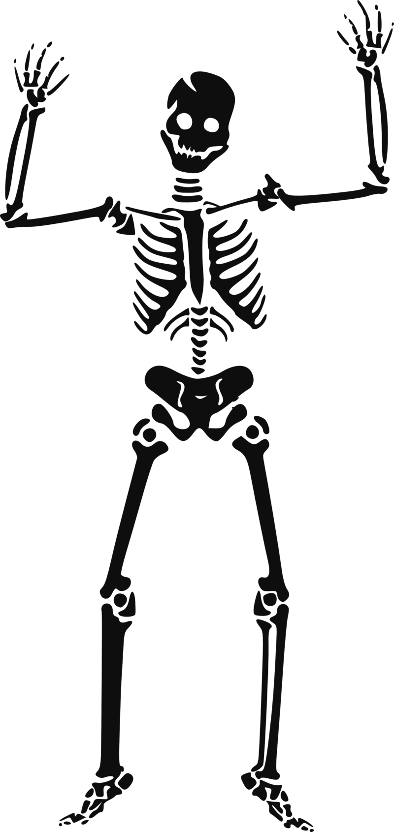 clipart skeleton file
