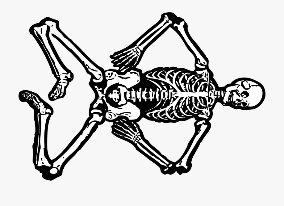 Clipart skeleton full body. Skull large clip art