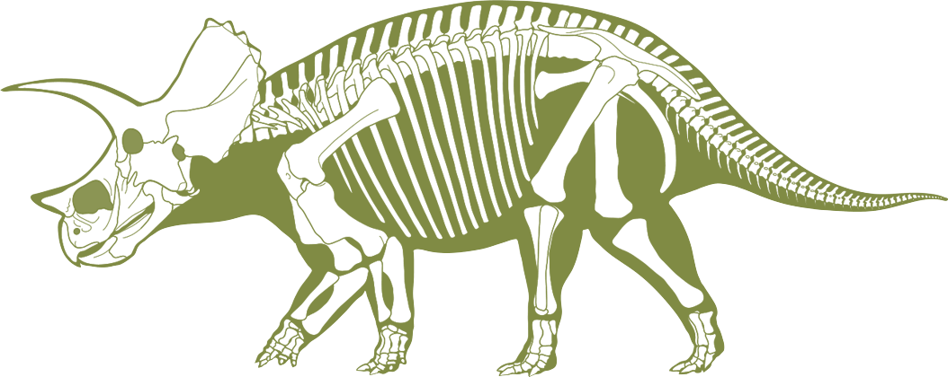 skeleton clipart triceratops