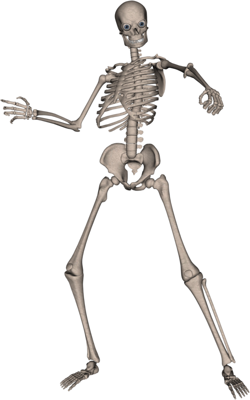 clipart skeleton man