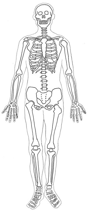 clipart skeleton medical