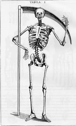 clipart skeleton medieval
