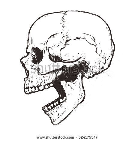 Image result for profile. Clipart skull open mouth