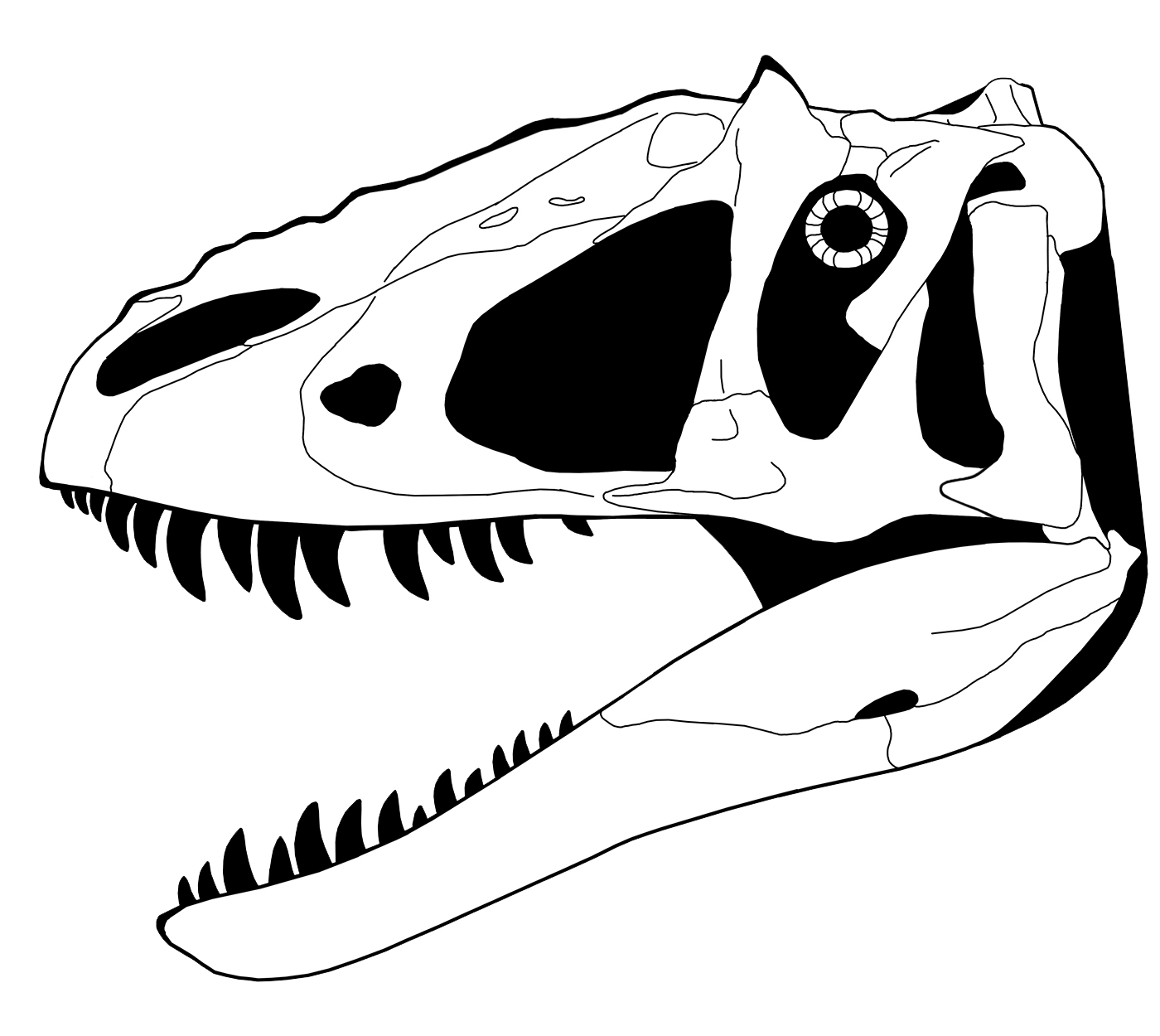 clipart skeleton raptor