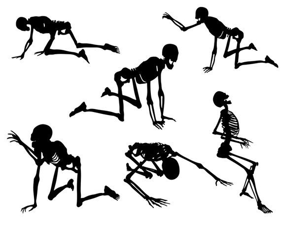 Clipart skeleton silhouette. Bones clip art svg