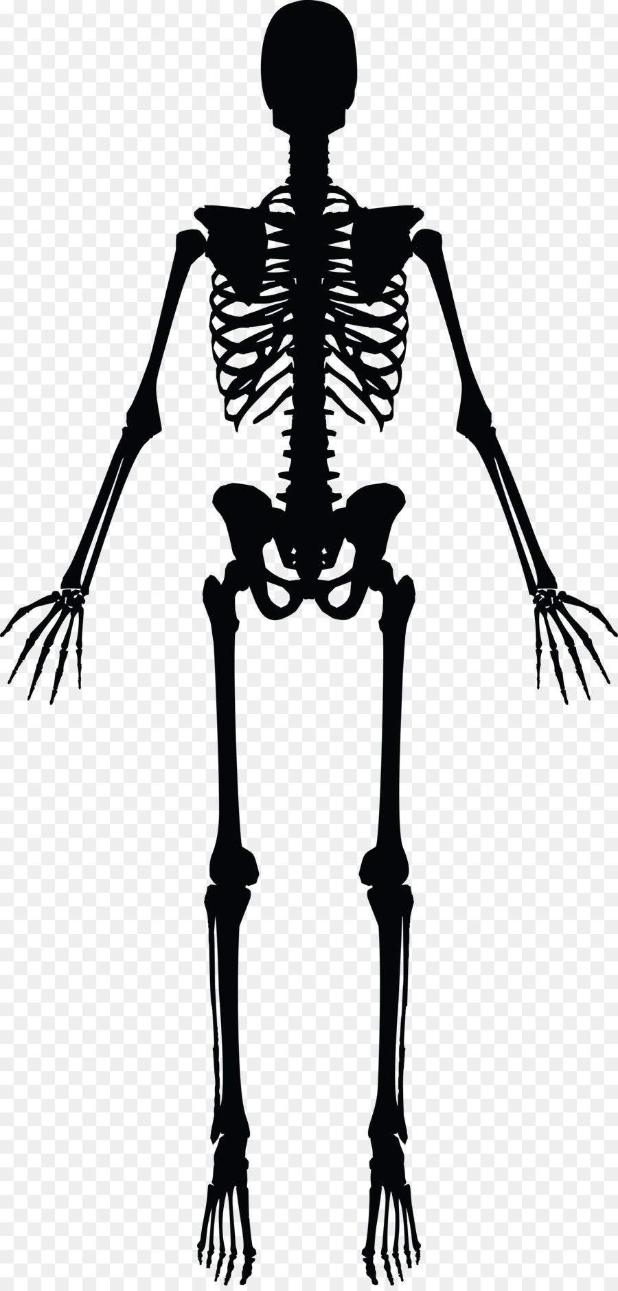 skeleton clipart silhouette