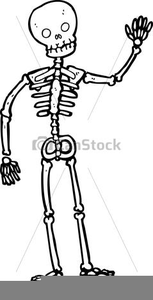 clipart skeleton simple