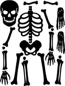 skeleton clipart skeleton costume
