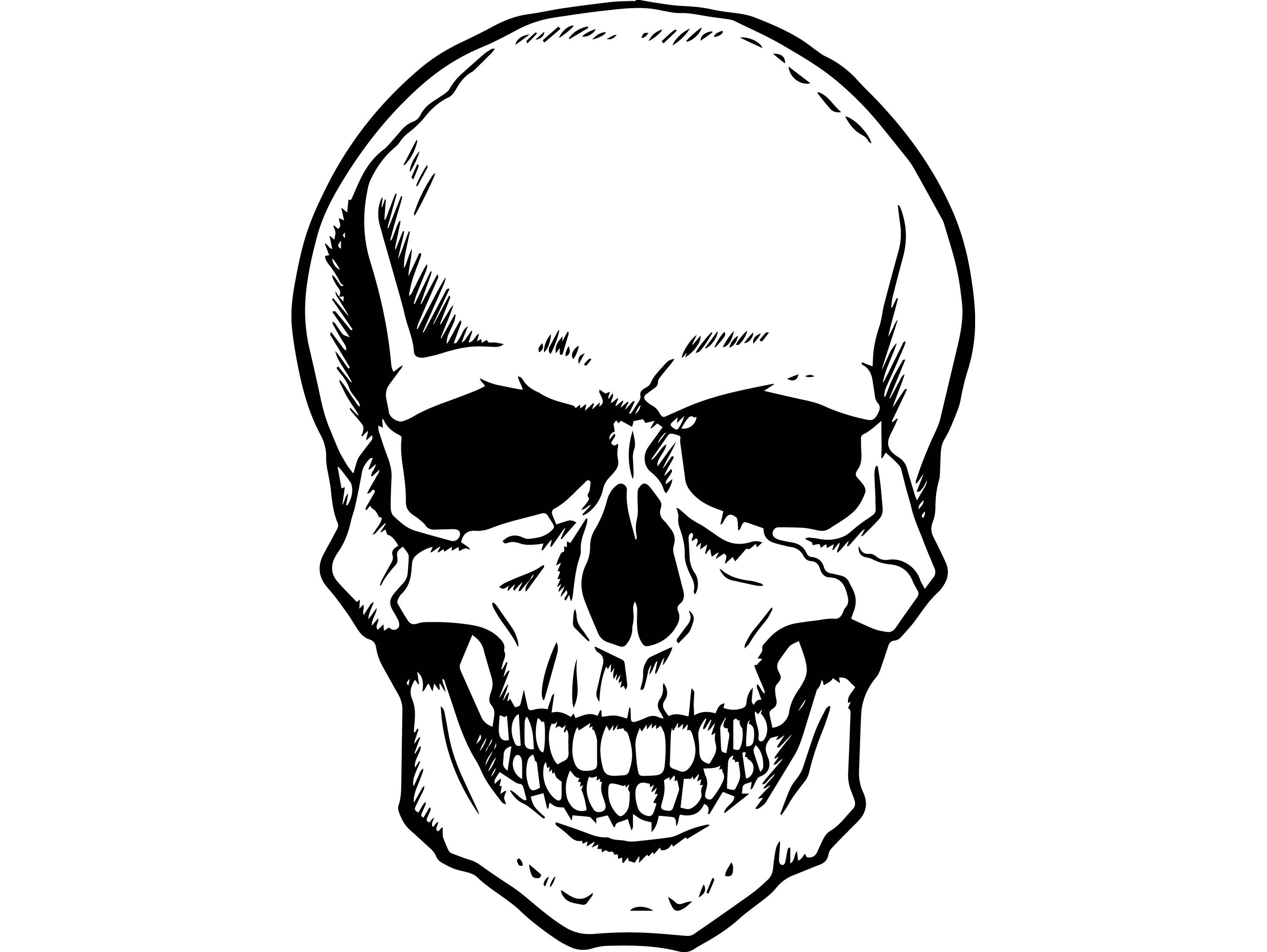 clipart skeleton skeleton head