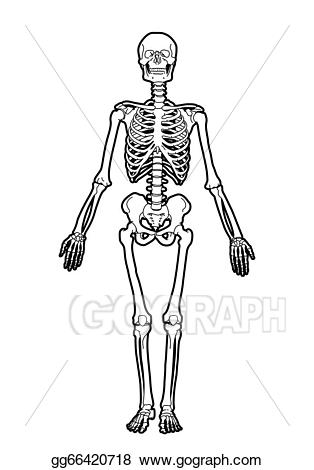 skeleton clipart skeleton outline
