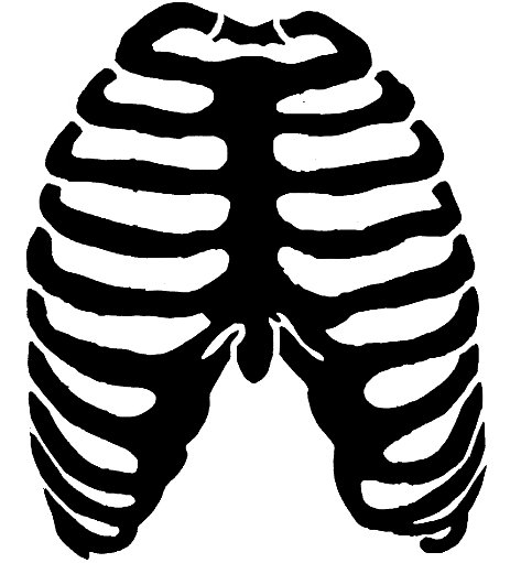 Cage clip art library. Clipart skeleton skeleton rib