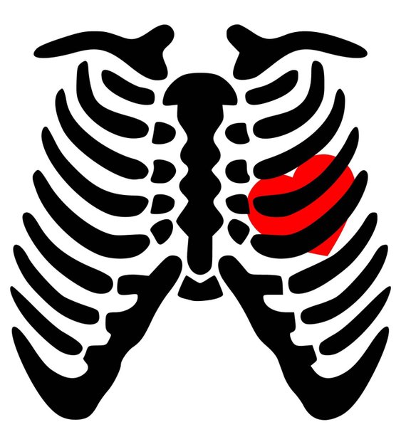 Clipart skeleton skeleton rib. Download free png cage