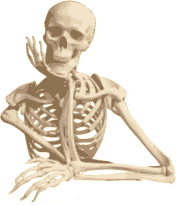 clipart skeleton spine