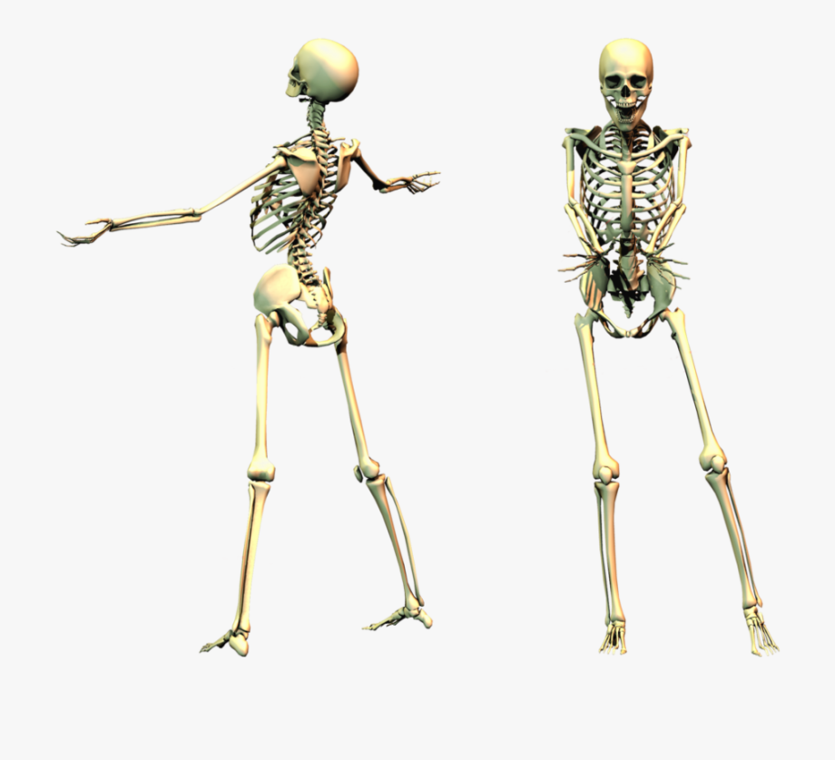 clipart skeleton spooky skeleton