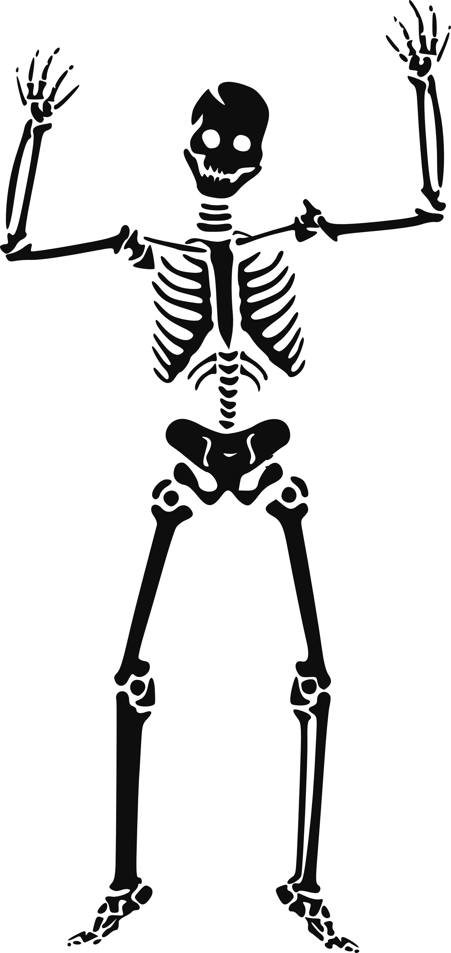 Bones clipart simple.  happy skeleton free