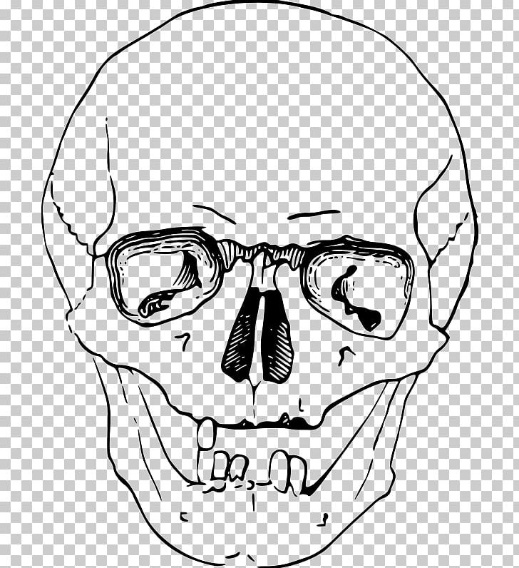 Clipart skull angle, Clipart skull angle Transparent FREE for download ...