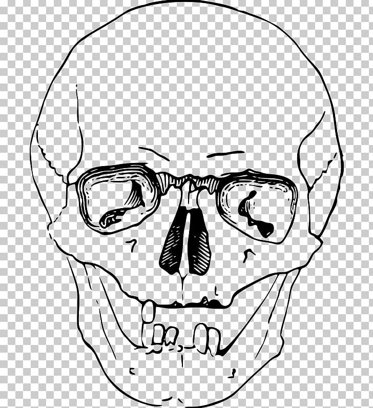 clipart skull angle