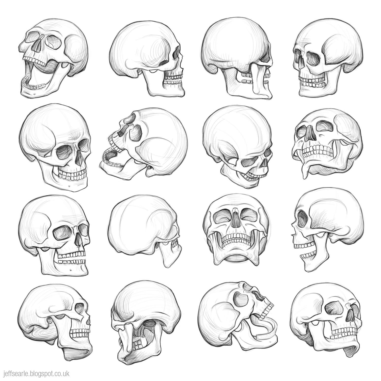 clipart skull angle