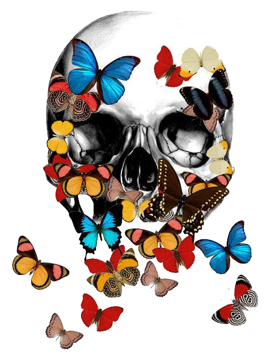 clipart skull butterfly