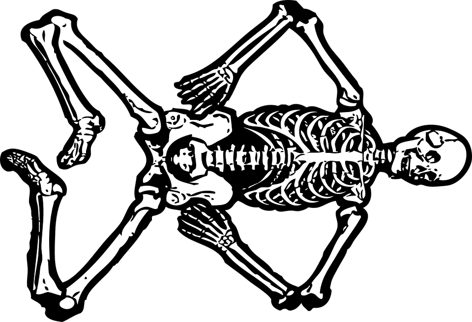Bones body frames illustrations. Clipart skull dog