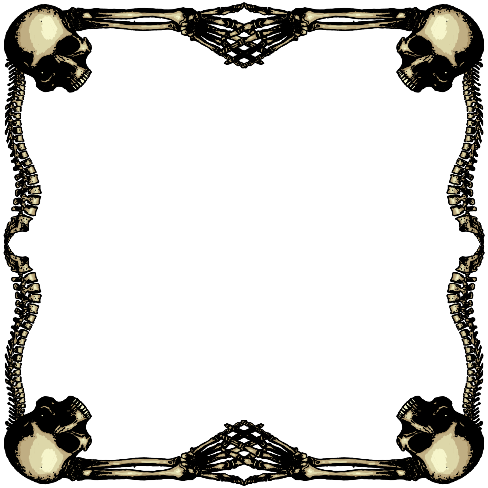clipart skull frame