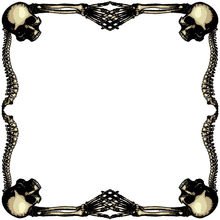 clipart skull frame