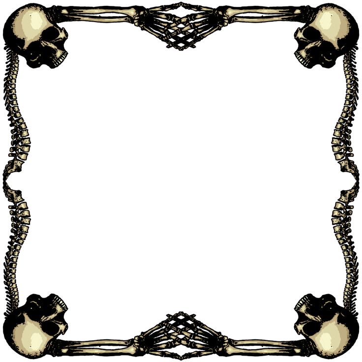 Border clip art library. Clipart skull frame