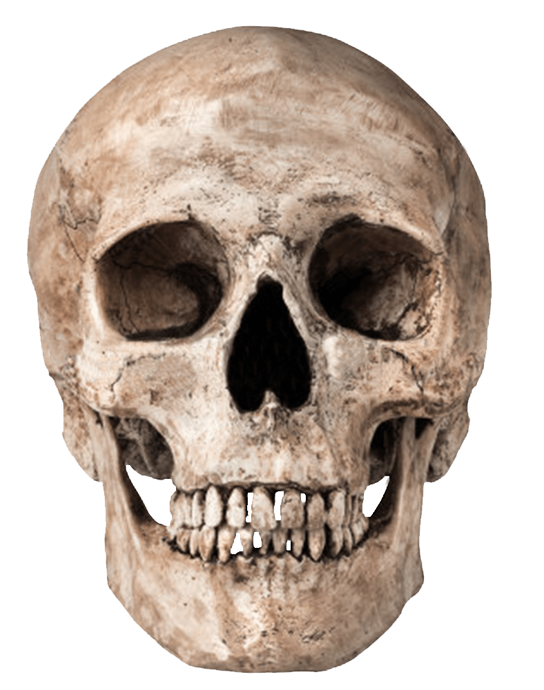 rock clipart skull