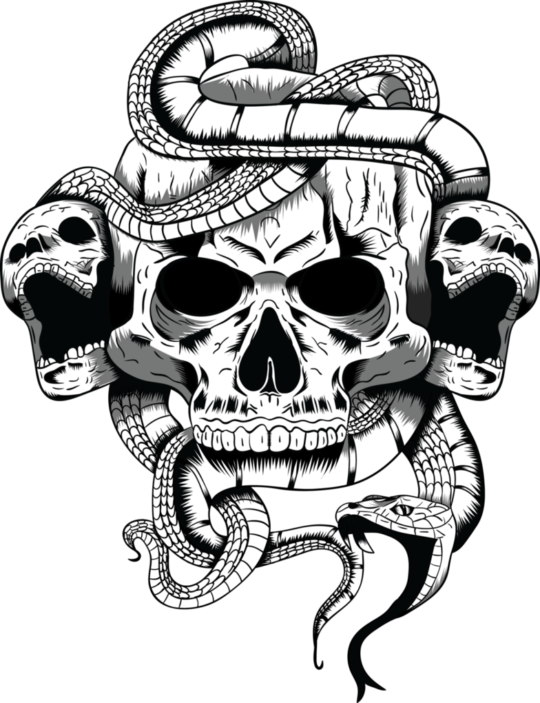 Clipart snake skull. Illustration by arrtman on