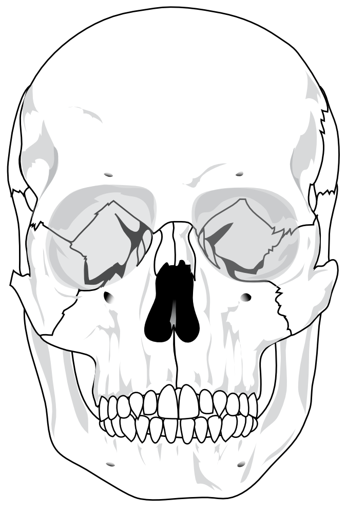 human clipart jaws