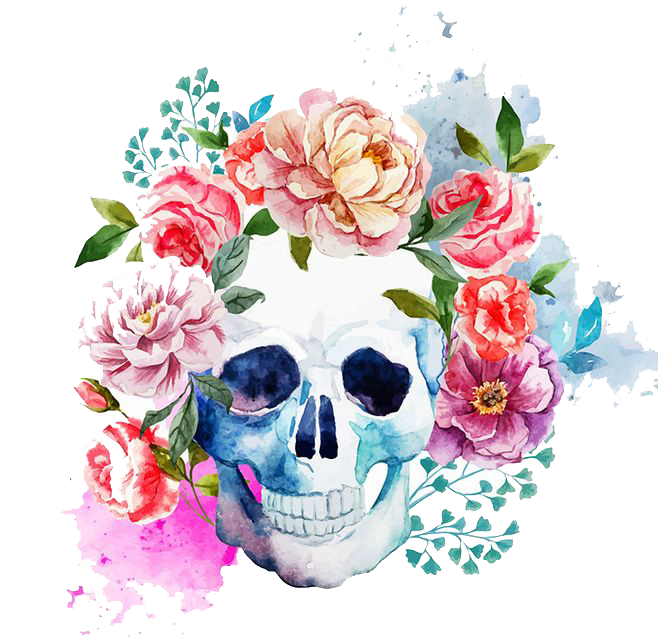 clipart skull watercolor