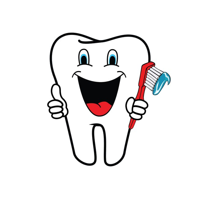 dental clipart healthy tooth