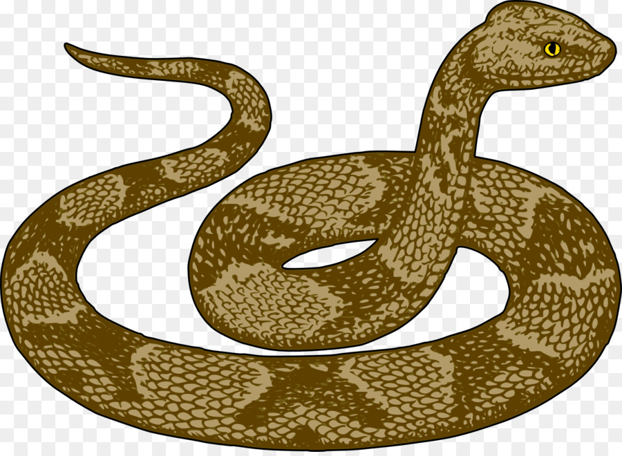 clipart snake basic