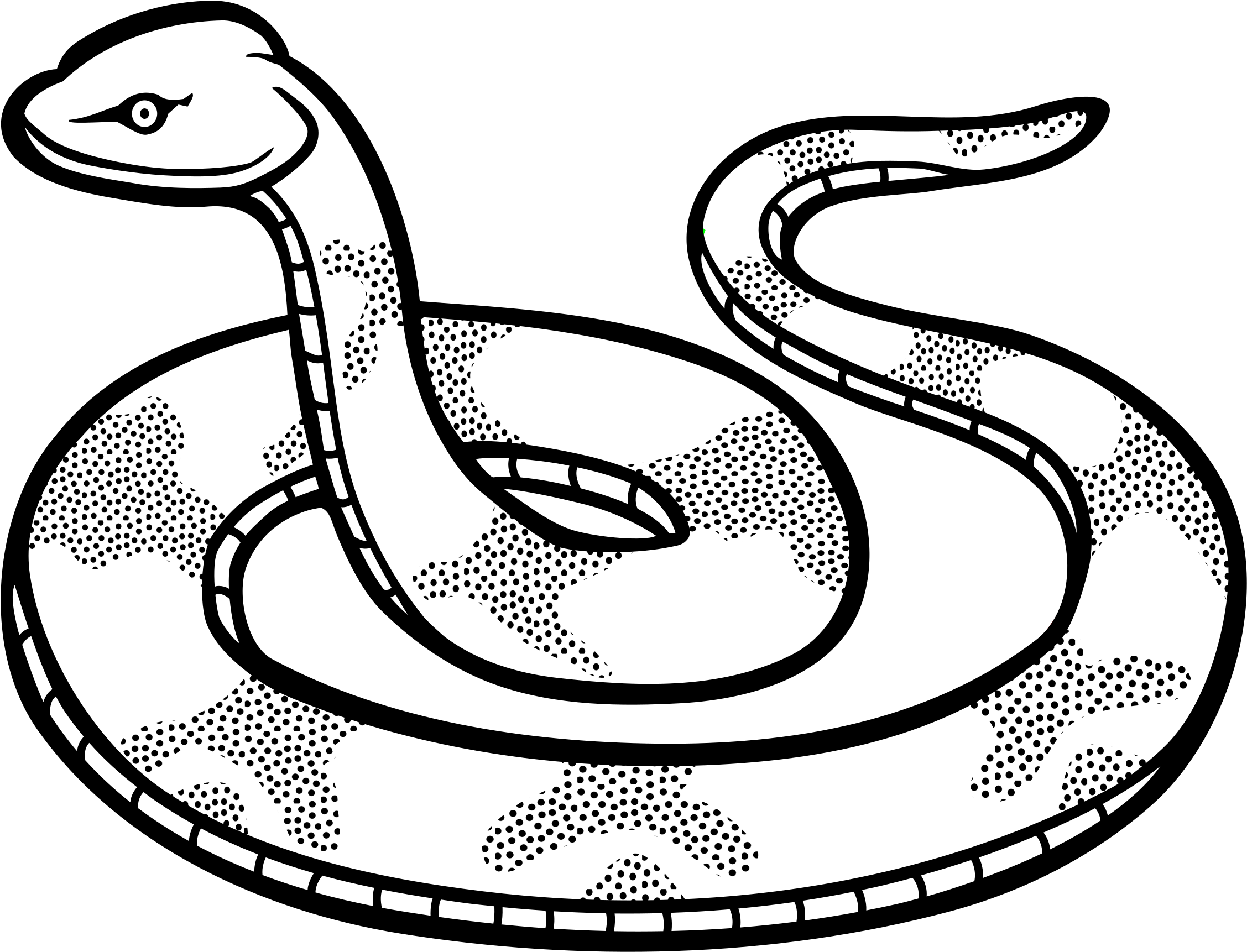 bouleydesign: Black And White Snake Maryland