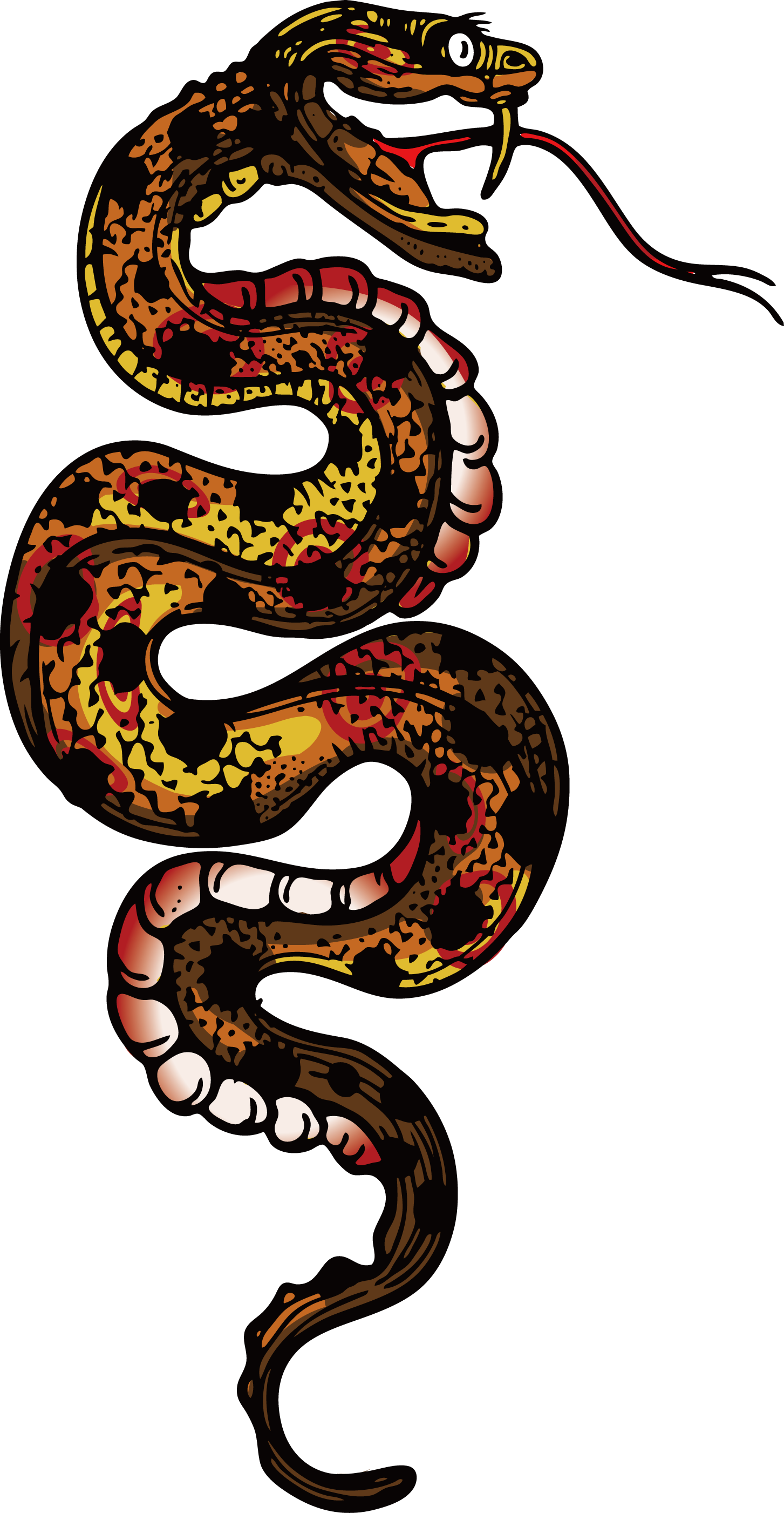 clipart snake boa constrictor