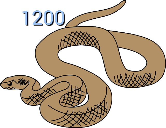 Eastern reptile clip art. Clipart snake brown snake